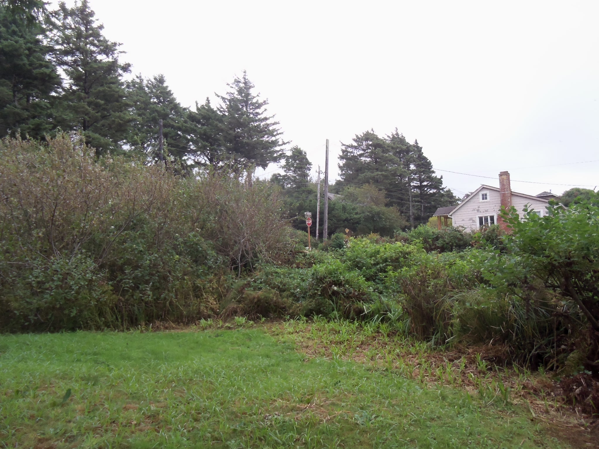 Clatsop County Property Information