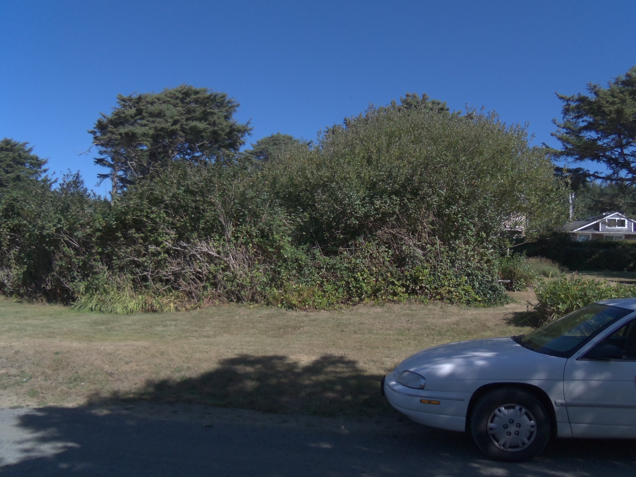 Clatsop County Property Information