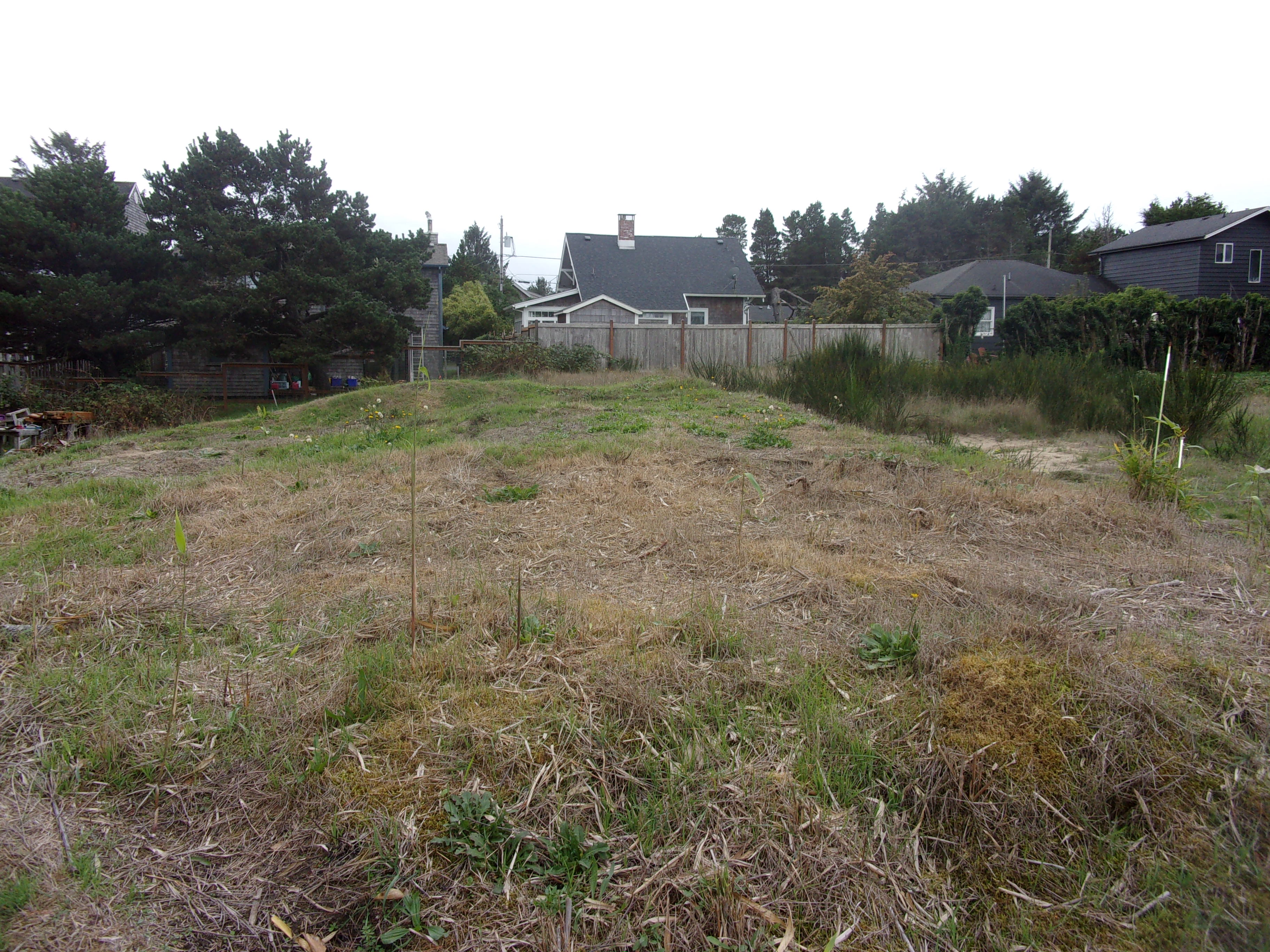 Clatsop County Property Information